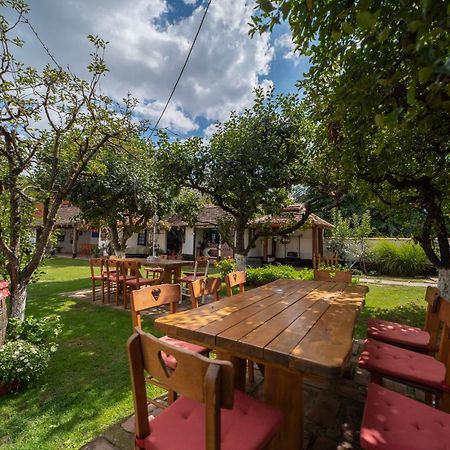 Domacinstvo Cikic Zasavica Konuk evi Dış mekan fotoğraf