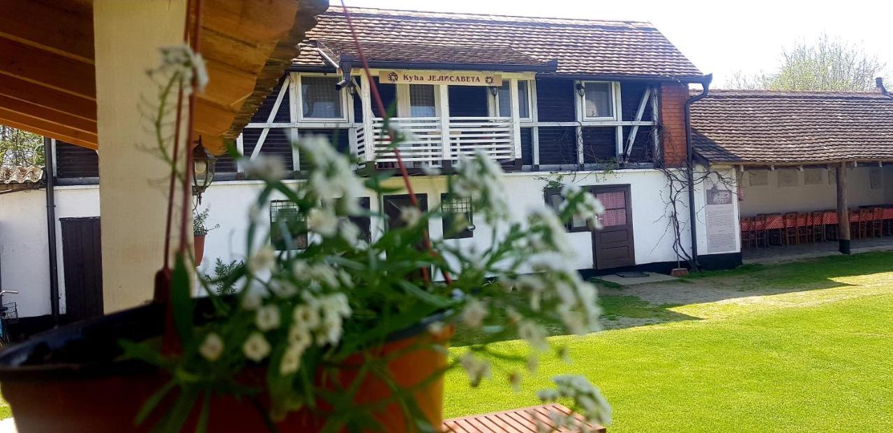Domacinstvo Cikic Zasavica Konuk evi Dış mekan fotoğraf