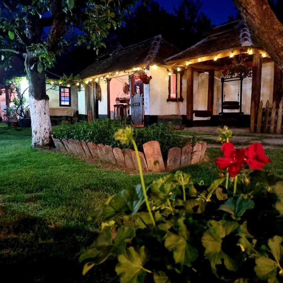 Domacinstvo Cikic Zasavica Konuk evi Dış mekan fotoğraf