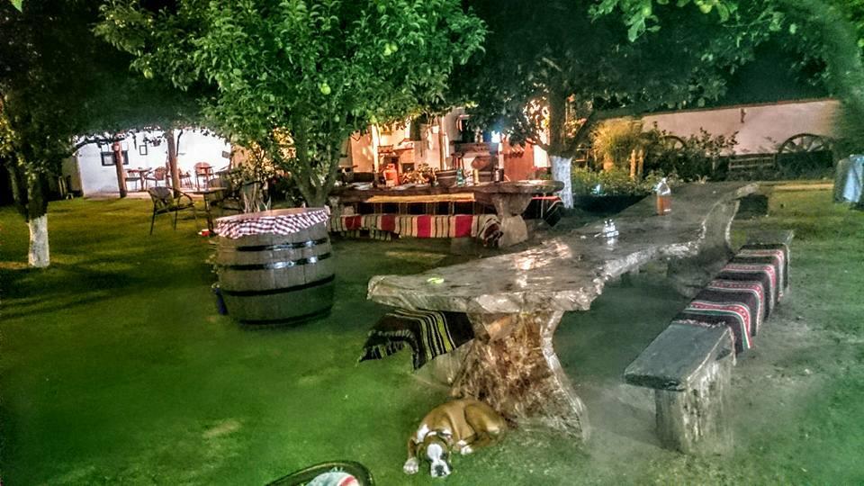 Domacinstvo Cikic Zasavica Konuk evi Dış mekan fotoğraf