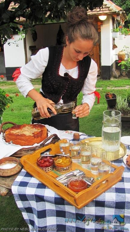 Domacinstvo Cikic Zasavica Konuk evi Dış mekan fotoğraf