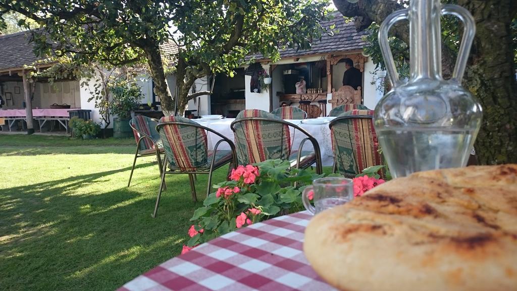 Domacinstvo Cikic Zasavica Konuk evi Dış mekan fotoğraf