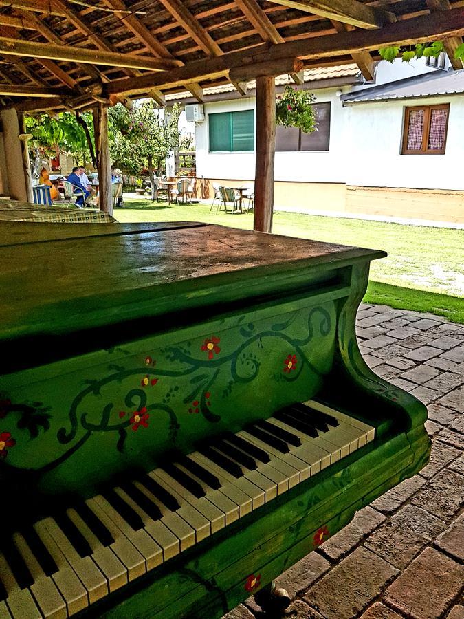 Domacinstvo Cikic Zasavica Konuk evi Dış mekan fotoğraf