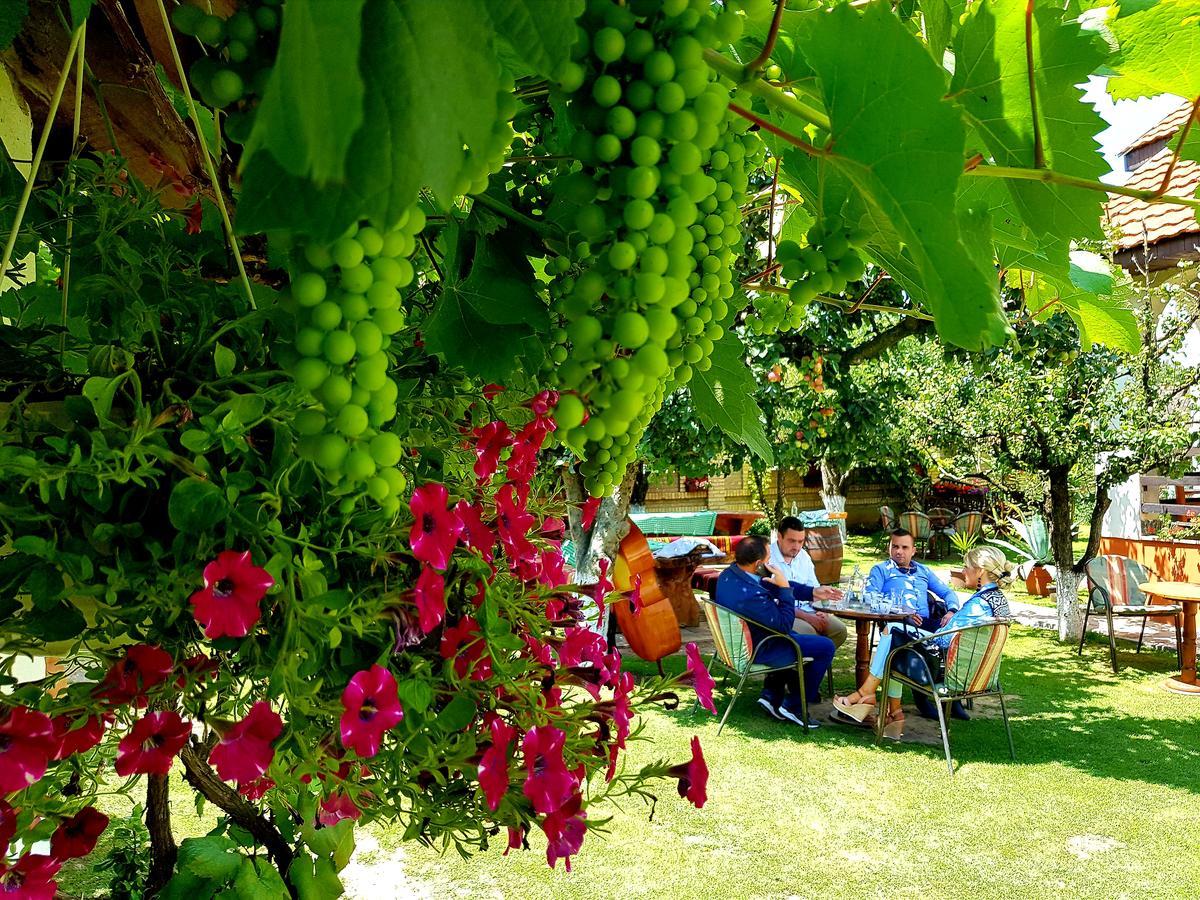 Domacinstvo Cikic Zasavica Konuk evi Dış mekan fotoğraf